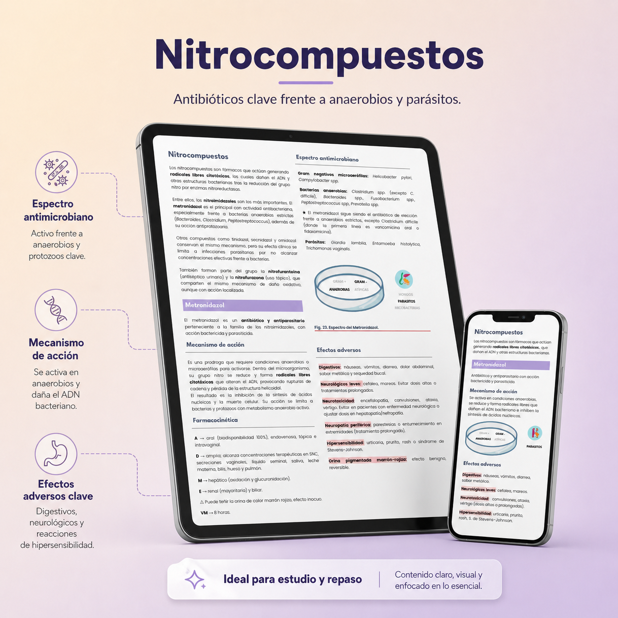 Manual Práctico de Antibióticos