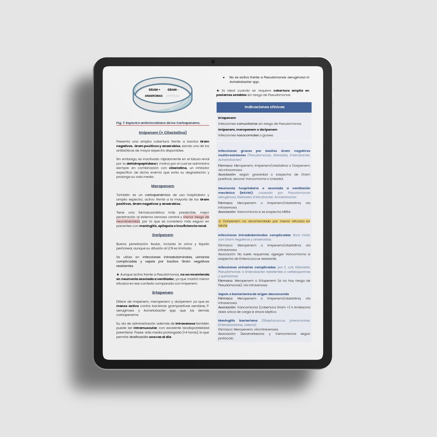Manual Práctico de Antibióticos
