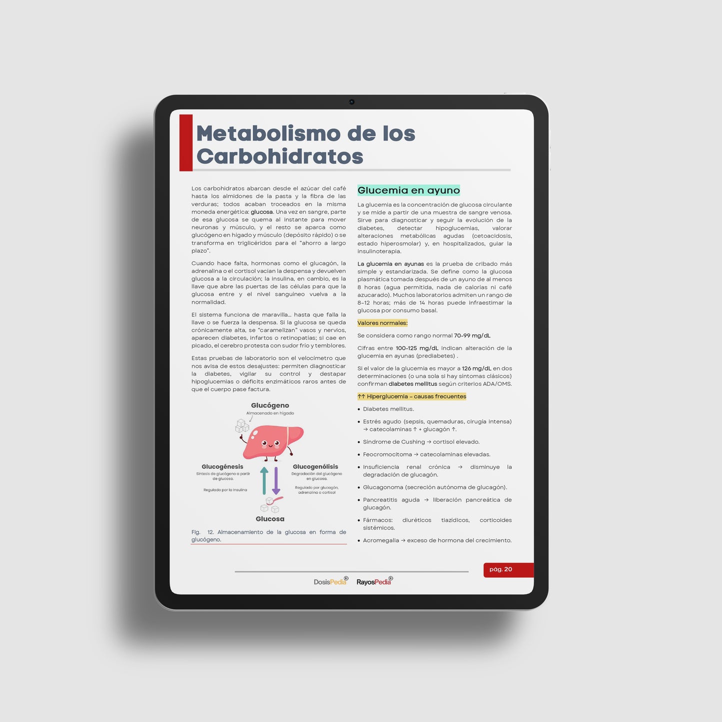 Manual de Pruebas de laboratorio