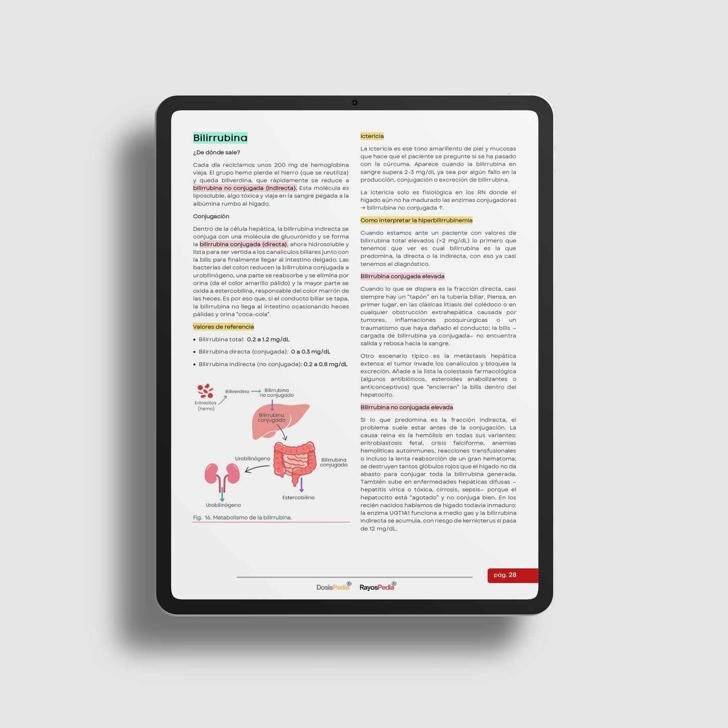 Manual de Pruebas de laboratorio
